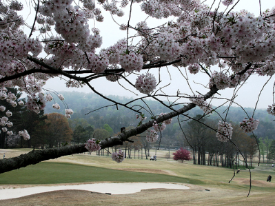 Hoover Country Club, Birmingham, Alabama, 35226 - Golf Course Photo