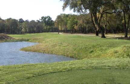 Sapelo Hammock Golf Club, Shellman Bluff, Georgia, 31331 - Golf Course Photo