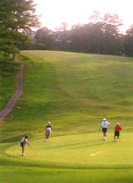 Pines Municipal Golf Course, The,Toccoa, Georgia,  - Golf Course Photo