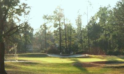 Clarendon Golf & Country Club, Manning, South Carolina, 29102 - Golf Course Photo