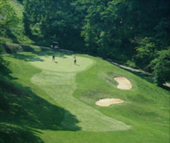 Golf Course Photo, Smoky Mountain Country Club, Newport, 37821 