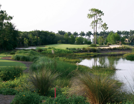 Golf Course Photo, Tiburon Golf Club, Gold Course, Naples, 34109 