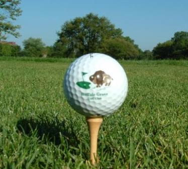 Buffalo Grove Golf Course, Buffalo Grove, Illinois, 60089 - Golf Course Photo