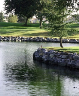 Diamond Oaks Municipal Golf Course,Roseville, California,  - Golf Course Photo