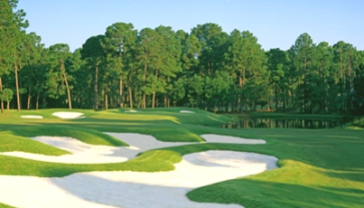 Golf Course Photo, Bear Creek Golf Club, Hilton Head Island, 13081 