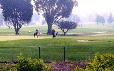 Golf Course Photo, Palo Alto Municipal Golf Course, CLOSED until Fall 2017, Palo Alto, 94303 