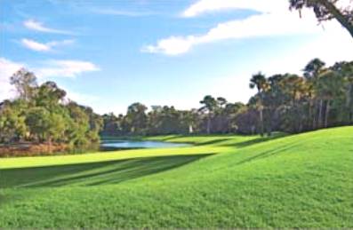 Palmetto Dunes Golf Course, Arthur Hills,Hilton Head Island, South Carolina,  - Golf Course Photo