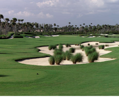 Jupiter Country Club, Jupiter, Florida, 33478 - Golf Course Photo