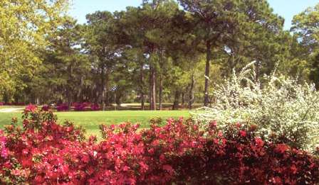 Sunkist Country Club, Biloxi, Mississippi, 39532 - Golf Course Photo