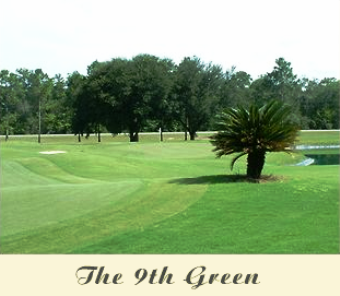 Wildwood Country Club, Crawfordville, Florida, 32327 - Golf Course Photo