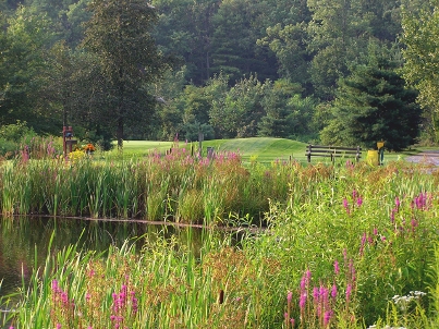 Golf Course Photo, Blue Ridge Country Club, Palmerton, 18071 