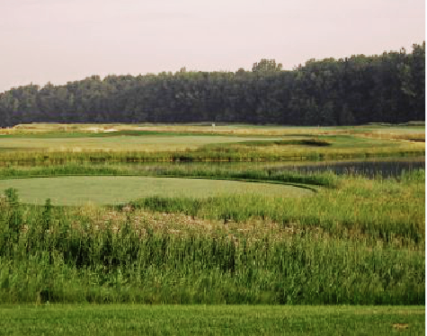 Royal St. Patricks Golf Course