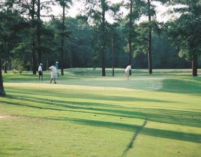 Green Acres Golf Course, Dexter, Georgia, 31019 - Golf Course Photo