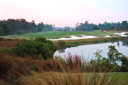 Barefoot Resort, Fazio Course, North Myrtle Beach, South Carolina, 29582 - Golf Course Photo