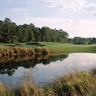 Golf Course Photo, Sandestin Resort - Raven Golf Club Course, Sandestin, 32550 