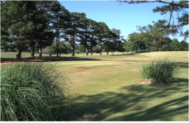 Golf Course Photo, Raintree Golf Club, Thomaston, 30286 