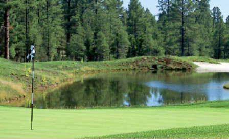 Torreon Golf Club, The Cabin Course,Show Low, Arizona,  - Golf Course Photo