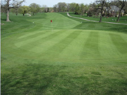 Lincoln Oaks Golf Course, Crete, Illinois, 60417 - Golf Course Photo