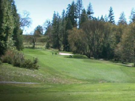 Golf Course Photo, Murphys 9 | Forest Meadows Golf Course, Murphys, 95247 