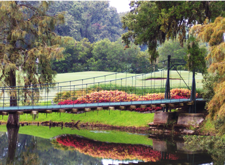 Lakeside Country Club Golf Course,Houston, Texas,  - Golf Course Photo