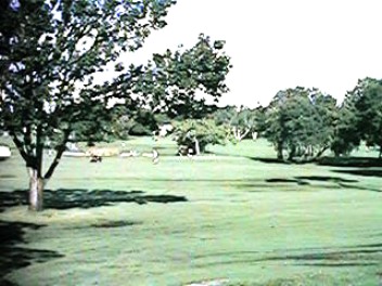 Pinecrest Golf Course,Largo, Florida,  - Golf Course Photo