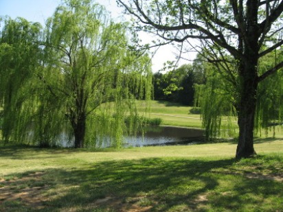 Natchez Trace Golf Club, Saltillo, Mississippi, 38866 - Golf Course Photo