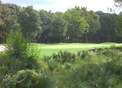 Golf Course Photo, Blackhorse Golf Club -North, Cypress, 77433 