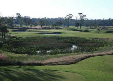 TPC At Treviso Bay,Naples, Florida,  - Golf Course Photo