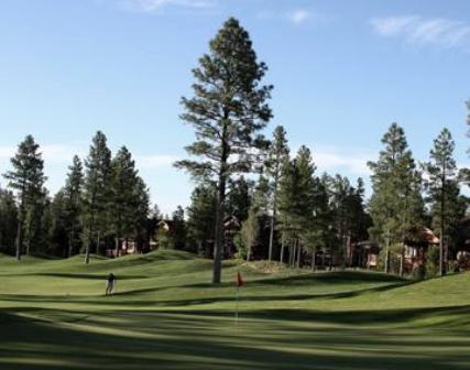 Torreon Golf Club, The Tower Course,Show Low, Arizona,  - Golf Course Photo