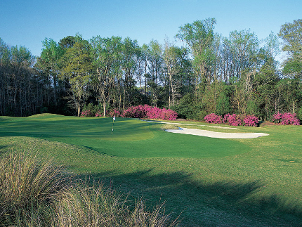 Brays Island Plantation Golf Club, Sheldon, South Carolina, 29941 - Golf Course Photo