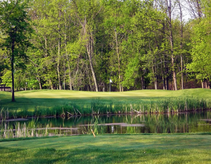 Holly Meadows Golf Course, Capac, Michigan, 48014 - Golf Course Photo