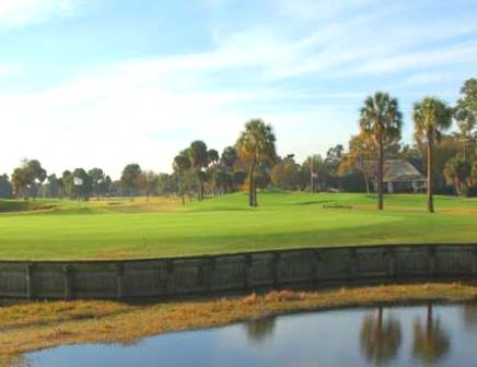 Golf Course Photo, Rocky Point Golf Course, Tampa, 33634 