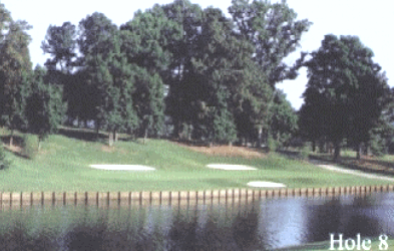 Turtle Point Yacht & Country Club, Killen, Alabama, 35645 - Golf Course Photo