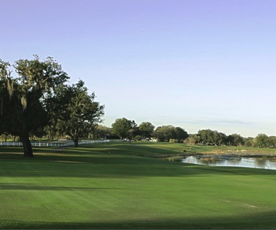 Meadow Oaks Golf & Country Club,Hudson, Florida,  - Golf Course Photo