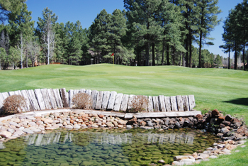 Golf Course Photo, Pinetop Lakes Golf & Country Club, Pinetop, 85935 