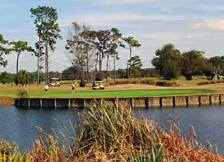 Golf Course Photo, Rogers Park Golf Course, Tampa, 33610 