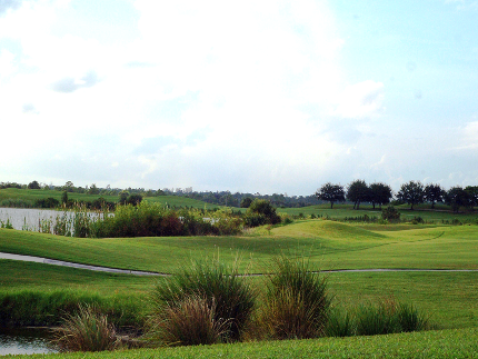 Golf Course Photo, Okeeheelee Golf Course, West Palm Beach, 33413 