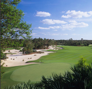 Calusa Pines Golf Club, Naples, Florida, 34120 - Golf Course Photo