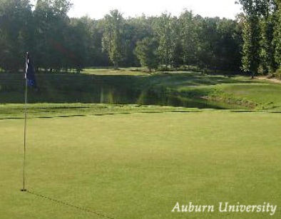 Auburn University Golf Course , Auburn, Alabama, 36830 - Golf Course Photo