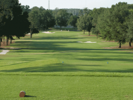 Golf Course Photo, Ocala Golf Club, Ocala, 34470 