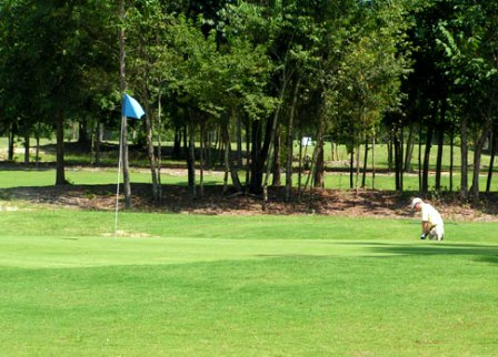 Caddy Shak Golf Course , Lexington, South Carolina, 29072 - Golf Course Photo