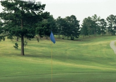 Golf Course Photo, Pine Creek Golf Club, Purvis, 39475 