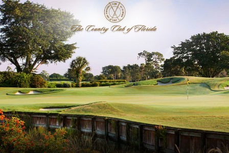 Golf Course Photo, Country Club of Florida, Boynton Beach, 33436 