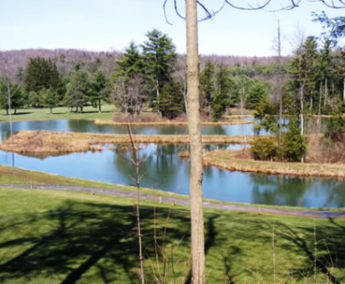 Golf Course Photo, Chetremon Golf Course, Cherry Tree, 15724 