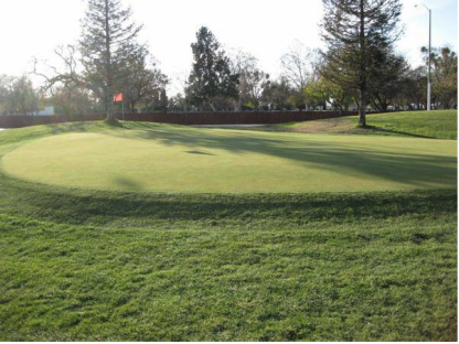 French Camp Golf Course,Manteca, California,  - Golf Course Photo