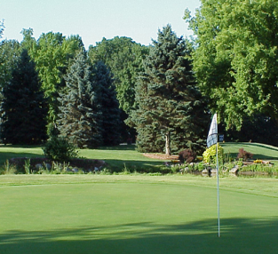 Deer Run Golf Course, Lowell, Michigan, 49331 - Golf Course Photo