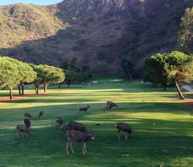 Golf Course Photo, Ben Browns Golf Course, Laguna Beach, 92651 