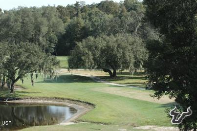 Golf Course Photo, The Claw at USF, Tampa, 33620 