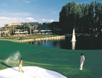 Saddlebrook Golf Resort, Saddlebrook Course,Wesley Chapel, Florida,  - Golf Course Photo