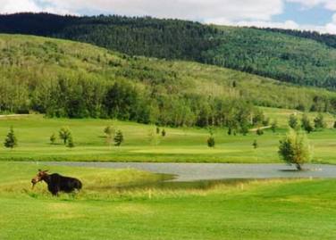 Targhee Village Golf Course, Alta, Wyoming, 83422 - Golf Course Photo